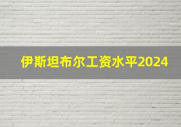 伊斯坦布尔工资水平2024