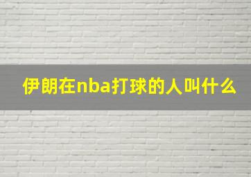 伊朗在nba打球的人叫什么