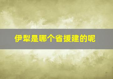 伊犁是哪个省援建的呢