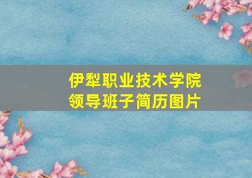 伊犁职业技术学院领导班子简历图片