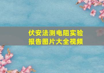 伏安法测电阻实验报告图片大全视频