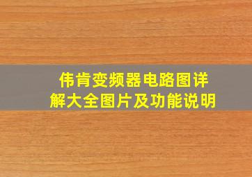 伟肯变频器电路图详解大全图片及功能说明