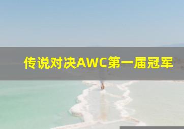 传说对决AWC第一届冠军