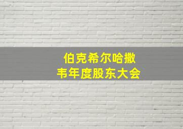 伯克希尔哈撒韦年度股东大会