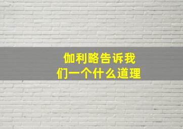 伽利略告诉我们一个什么道理