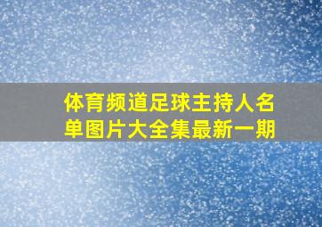 体育频道足球主持人名单图片大全集最新一期