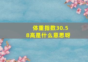 体重指数30.58高是什么意思呀