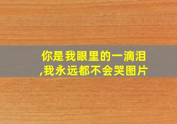 你是我眼里的一滴泪,我永远都不会哭图片