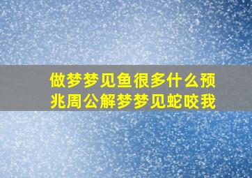 做梦梦见鱼很多什么预兆周公解梦梦见蛇咬我