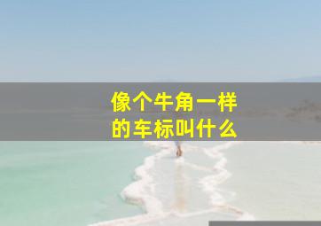 像个牛角一样的车标叫什么