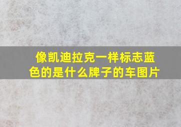 像凯迪拉克一样标志蓝色的是什么牌子的车图片