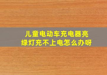 儿童电动车充电器亮绿灯充不上电怎么办呀