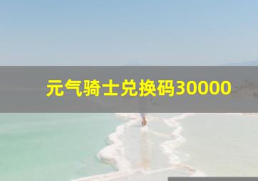 元气骑士兑换码30000