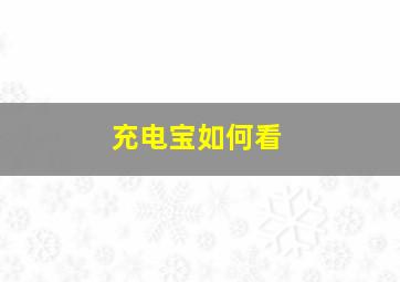 充电宝如何看