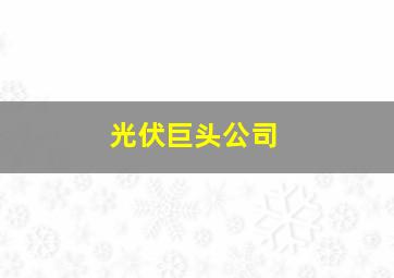 光伏巨头公司