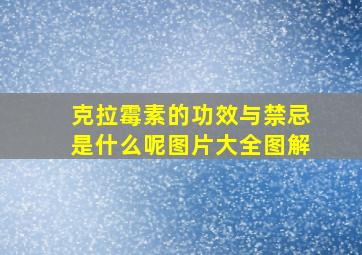 克拉霉素的功效与禁忌是什么呢图片大全图解