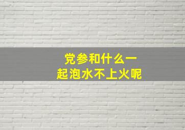 党参和什么一起泡水不上火呢