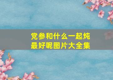 党参和什么一起炖最好呢图片大全集