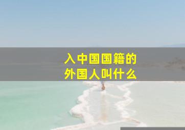 入中国国籍的外国人叫什么