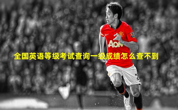 全国英语等级考试查询一级成绩怎么查不到