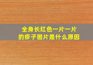 全身长红色一片一片的疹子图片是什么原因