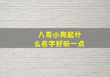 八哥小狗起什么名字好听一点