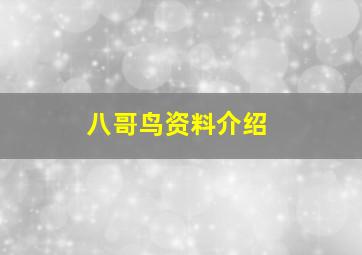 八哥鸟资料介绍