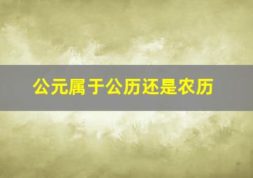 公元属于公历还是农历