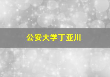 公安大学丁亚川