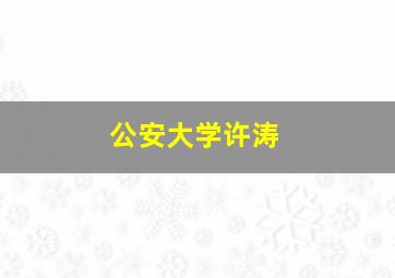 公安大学许涛