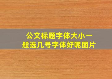 公文标题字体大小一般选几号字体好呢图片