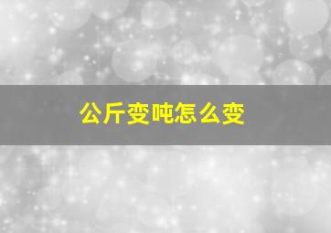 公斤变吨怎么变