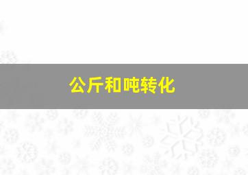 公斤和吨转化