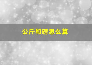 公斤和磅怎么算