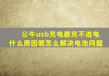 公牛usb充电器充不进电什么原因呢怎么解决电池问题