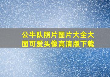 公牛队照片图片大全大图可爱头像高清版下载