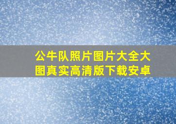 公牛队照片图片大全大图真实高清版下载安卓