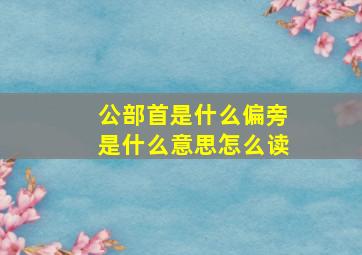 公部首是什么偏旁是什么意思怎么读