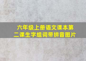 六年级上册语文课本第二课生字组词带拼音图片