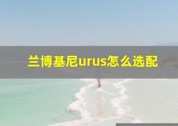 兰博基尼urus怎么选配