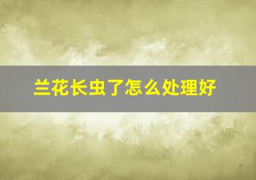 兰花长虫了怎么处理好