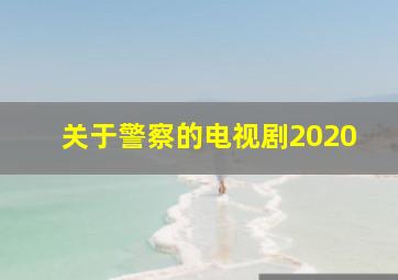 关于警察的电视剧2020