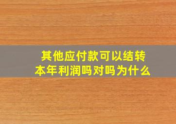 其他应付款可以结转本年利润吗对吗为什么