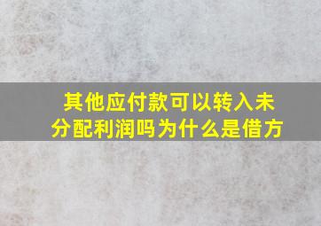 其他应付款可以转入未分配利润吗为什么是借方