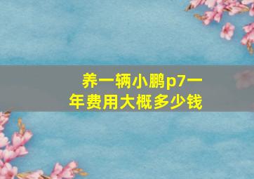 养一辆小鹏p7一年费用大概多少钱