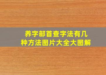 养字部首查字法有几种方法图片大全大图解