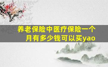 养老保险中医疗保险一个月有多少钱可以买yao