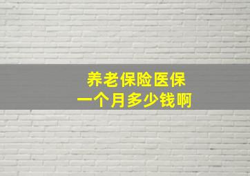 养老保险医保一个月多少钱啊