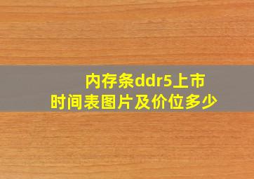 内存条ddr5上市时间表图片及价位多少