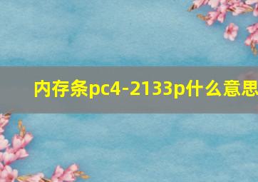 内存条pc4-2133p什么意思